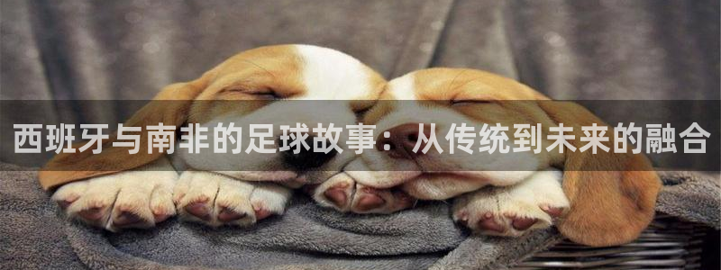 世界杯预选赛亚洲区积分榜:西班牙与南非的足球故事:从传统到未来的融合