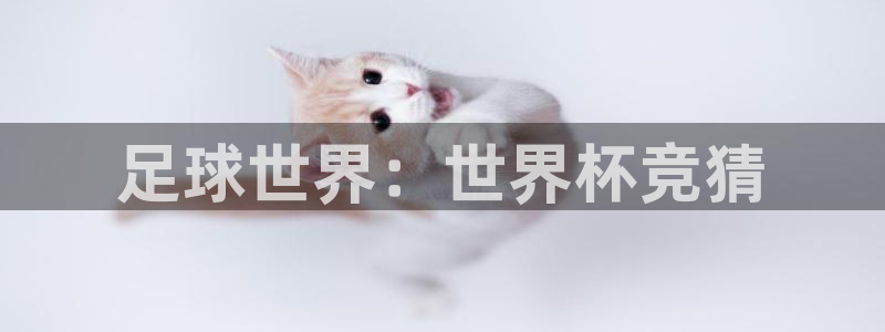 世界杯欧洲区预选赛:足球世界:世界杯竞猜