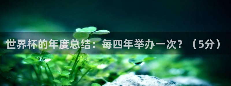 美国世界杯:世界杯的年度总结:每四年举办一次?(5分)
